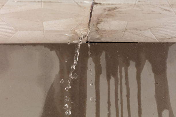 Professional Flood Damage Cleanup technician working in Hills, MN